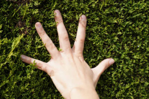 Qué es la huella ecológica