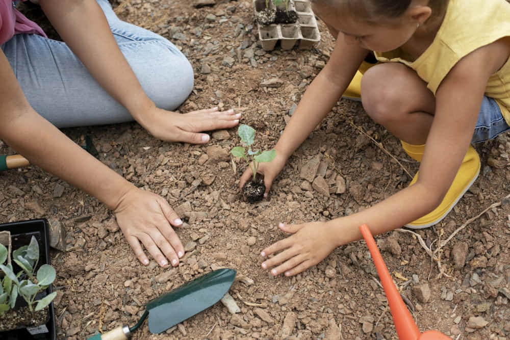 Beneficios de la educación ambiental. Niños jugando con tierra y plantando.